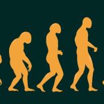 Théorie de l’évolution