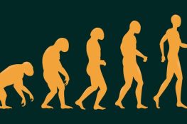 Théorie de l'évolution