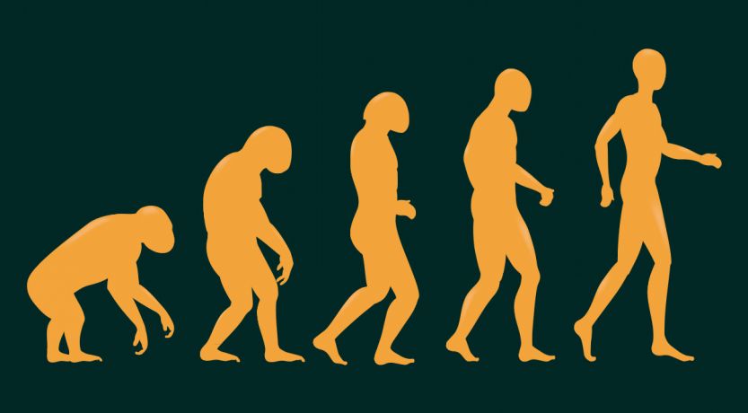 Théorie de l'évolution